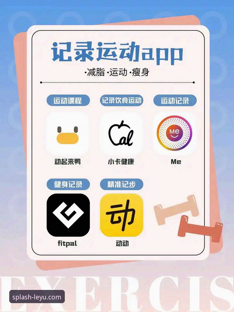 乐鱼体育app更新与升级完整指南：解锁移动观赛新体验